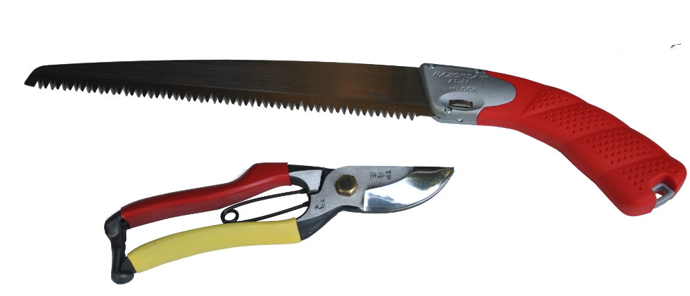 Japanese secateurs and pruning saw