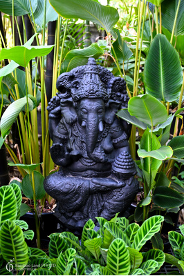 Ganesha 110cm - Natural Black