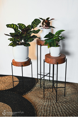 Round pot stand - Teak