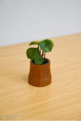 Miniature teak pot  - Flared Bottom (Small)