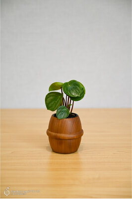 Miniature teak pot - Ribbed