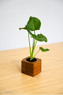 Miniature teak pot - Square