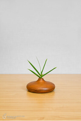 Teak Vase - Stumpy