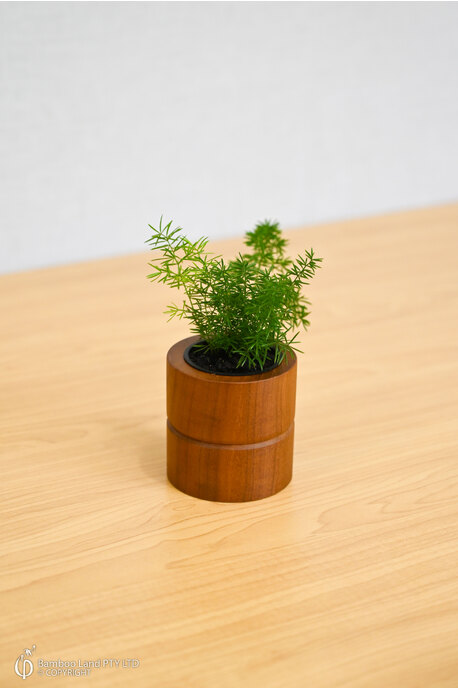 Miniature teak pot - Groove